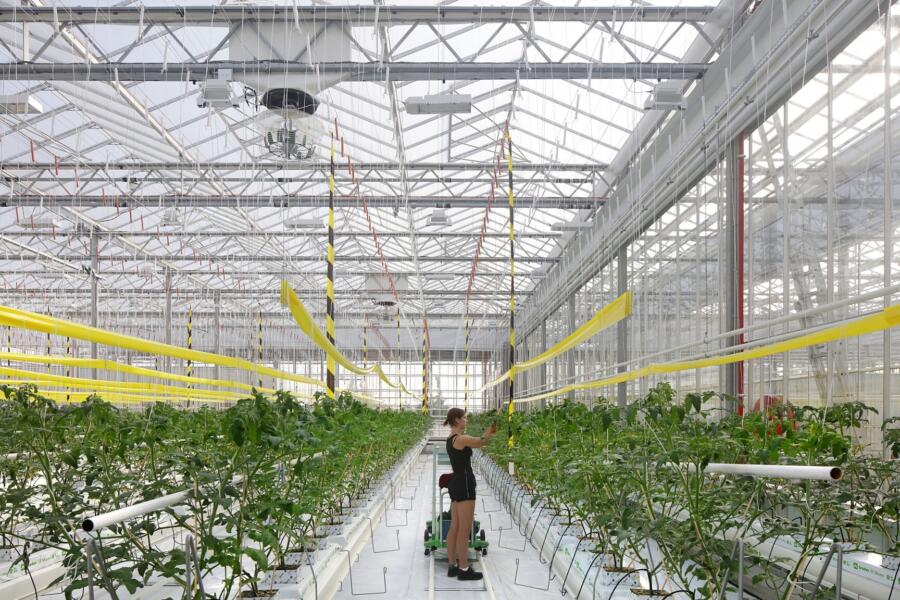 Agrotopia – ein facettenreiches Reallabor der urbanen Landwirtschaft und der Raum&shy;entwicklung